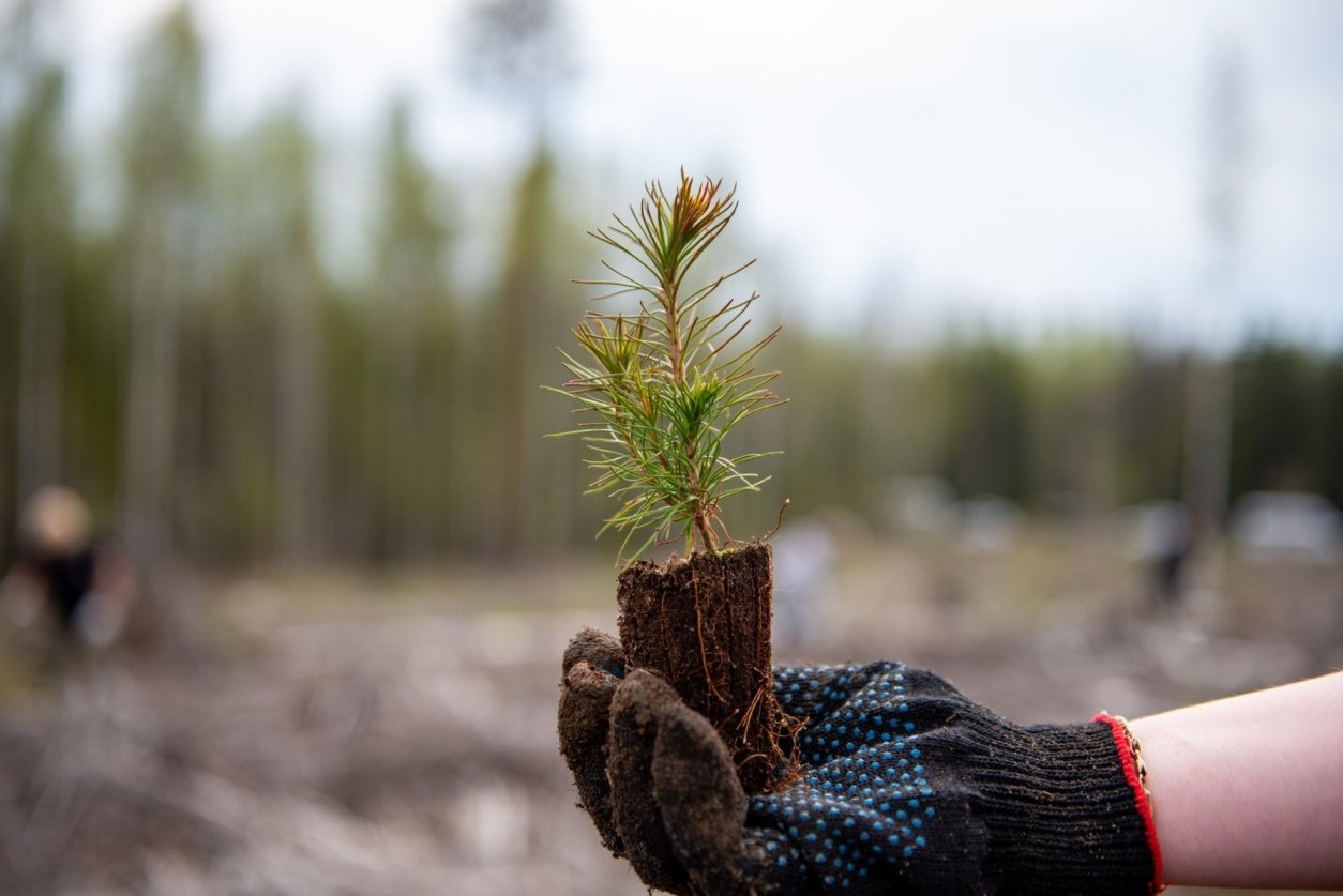 Фото: https://gov.karelia.ru/ Фото: https://gov.karelia.ru/