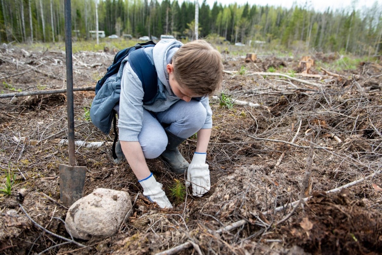 Фото: https://gov.karelia.ru/ Фото: https://gov.karelia.ru/