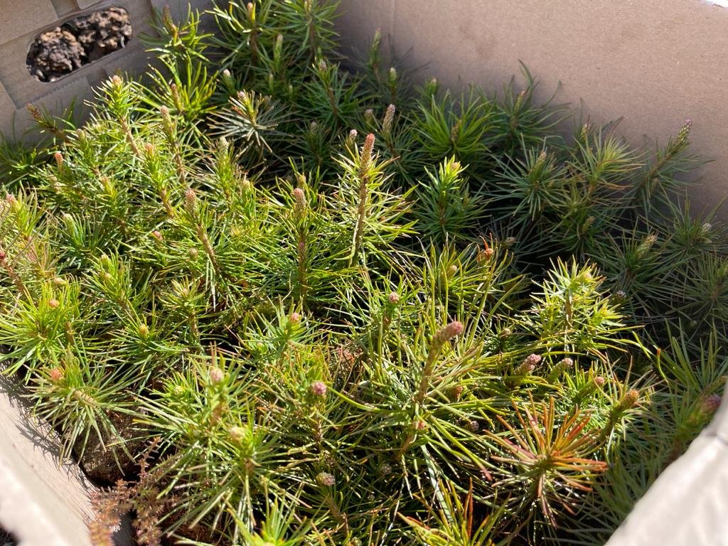 Фото: https://gov.karelia.ru/ Фото: https://gov.karelia.ru/