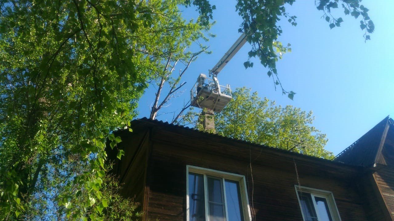 Дерево, которое упало на жилой дом в Петрозаводске, убрали