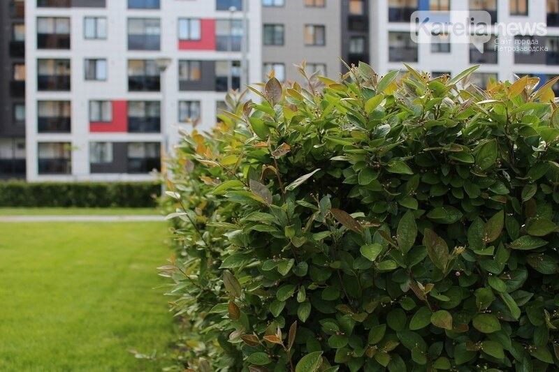 Местами до +30°С и без осадков: прогноз погоды в Карелии на 5 июня