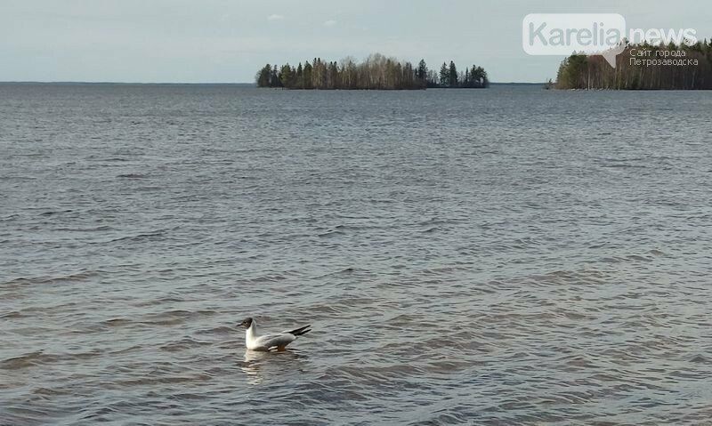 Под Петрозаводском двух подростков унесло от берега на надувном матрасе