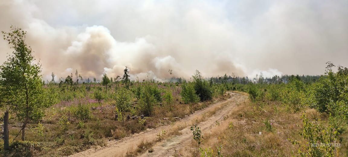 Лесные пожары вплотную приблизились к двум карельским поселкам