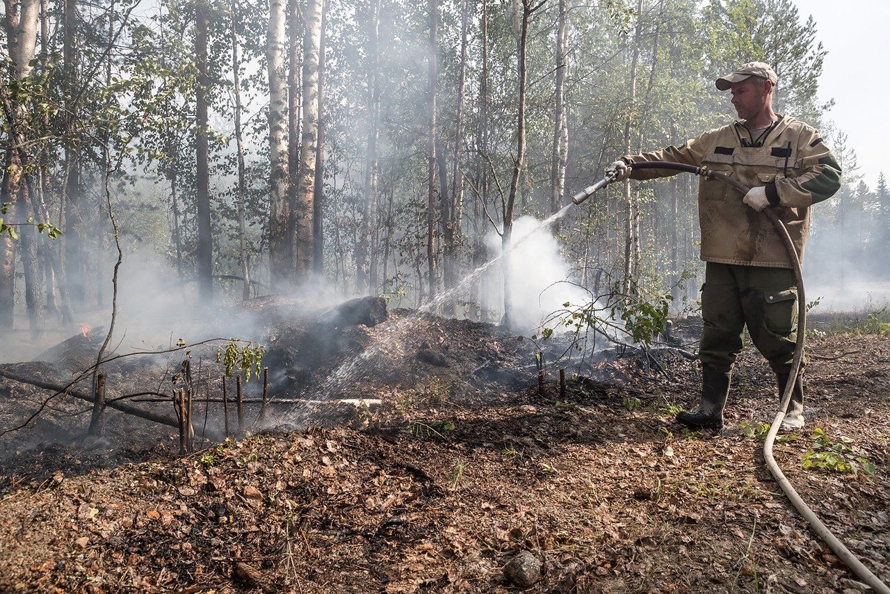 В Карелии горит больше 10 тысяч гектаров леса
