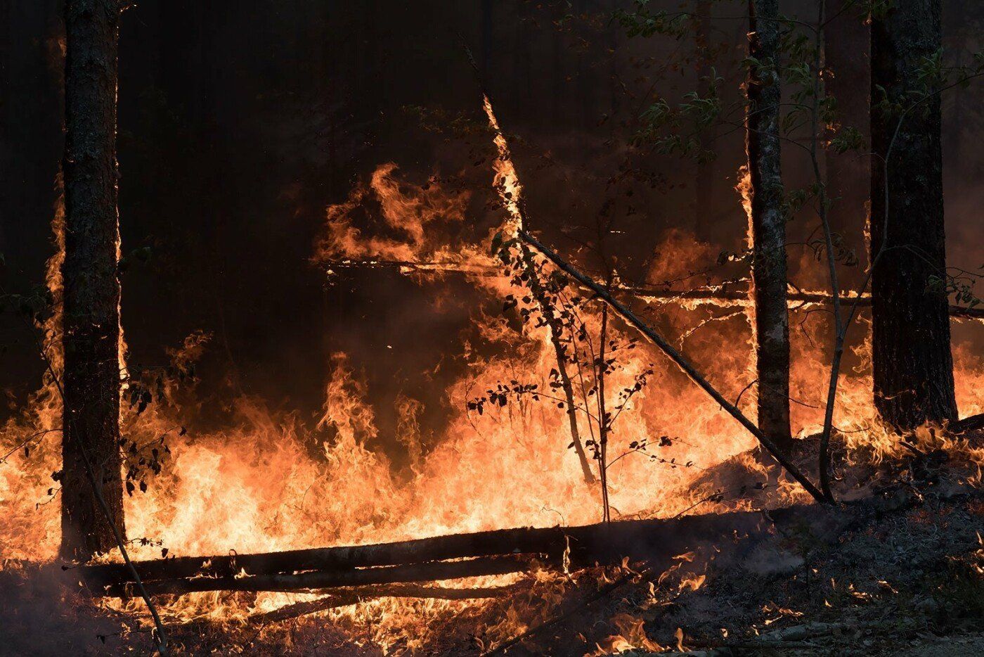 На борьбу с лесными пожарами Карелия потратит дополнительно 142 миллиона рублей