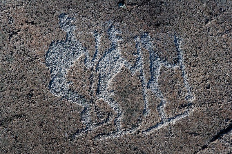 Карельские петроглифы включили в список Всемирного наследия ЮНЕСКО