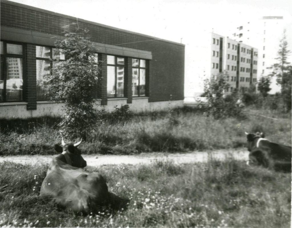 3185813-15_0.jpg