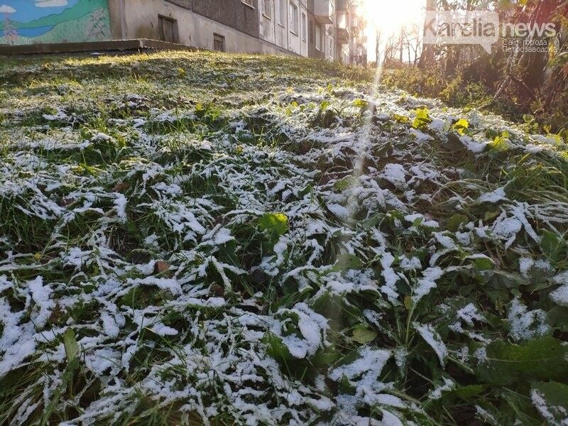МЧС Карелии выпустило экстренное предупреждение о заморозках