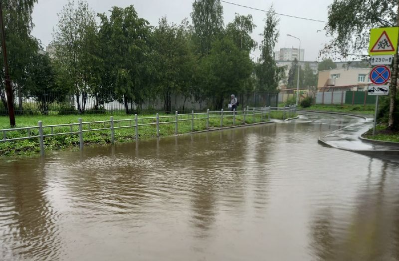 Глава Петрозаводска рассказал о том, как город борется с последствиями затопления