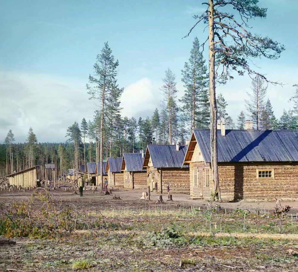 3192171-6_1.jpg