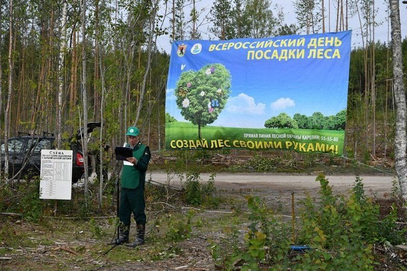 Карелия присоединилась к всероссийской акции «Сохраним лес»