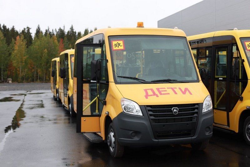 В Минобразования рассказали, какие районы Карелии получат новые школьные автобусы