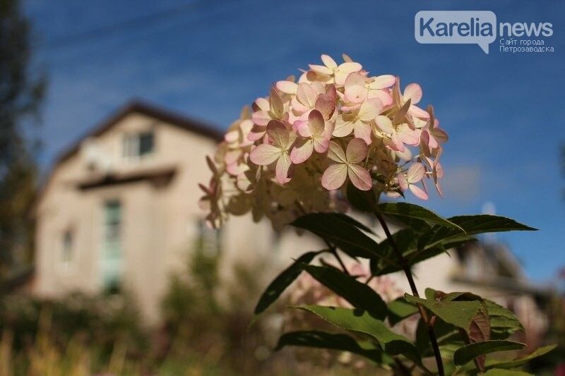 «Есть повод для оптимизма»: синоптики прогнозируют скорое потепление