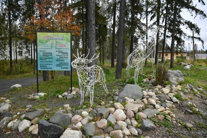 Жители Новой Вилги создали на месте пустыря живописный парк