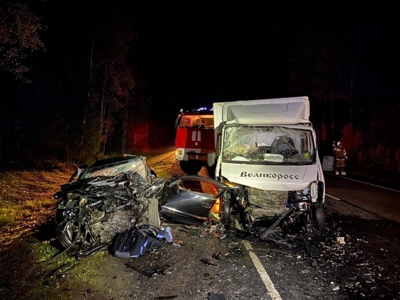 Семья из Карелии разбилась в ДТП: погибли двое маленьких детей и 30-летняя женщина
