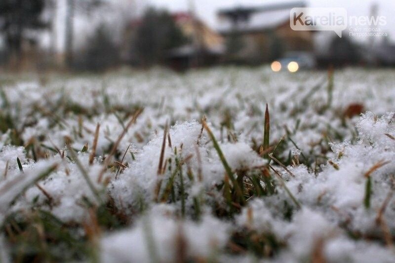 МЧС Карелии выпустило экстренное предупреждение о шквальном ветре с мокрым снегом