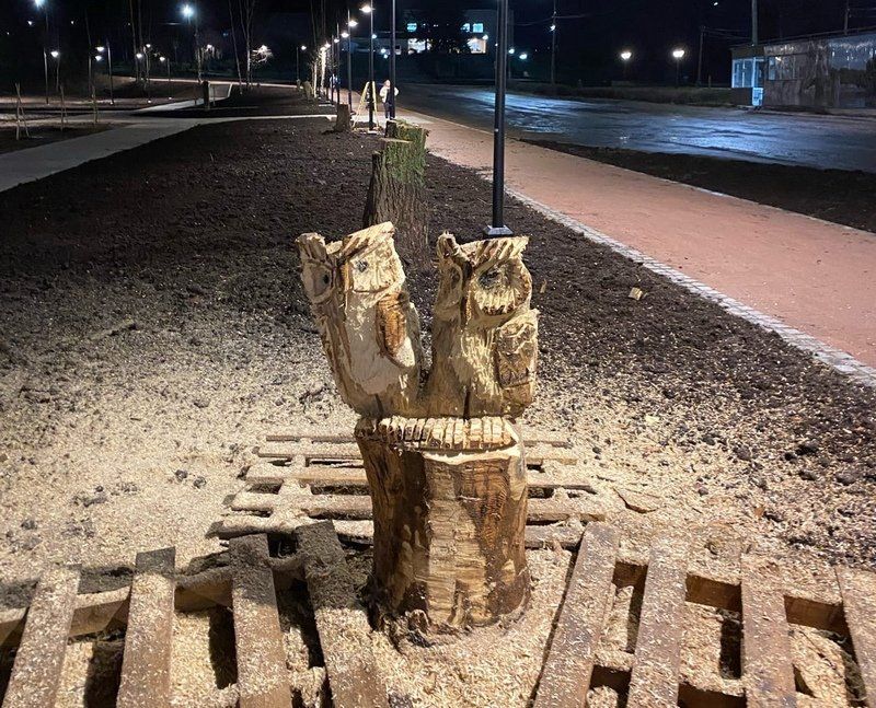 Житель Карелии превращает пни на городских улицах в арт-объекты