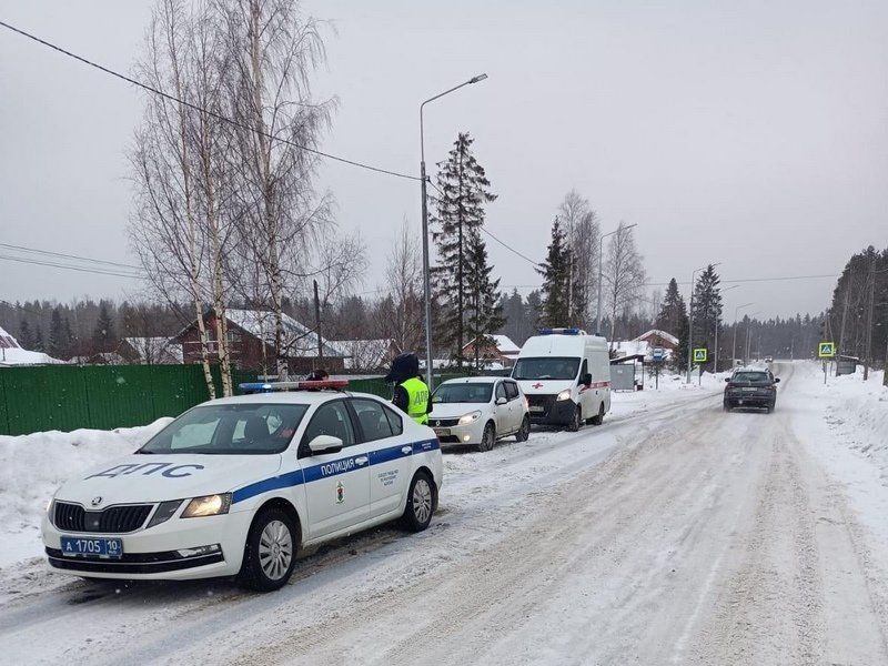 В Прионежском районе автоинспекторы спасли женщину, которая замерзала в снегу