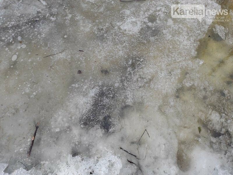 В МЧС предупредили, что лед на карельских водоемах стал небезопасен