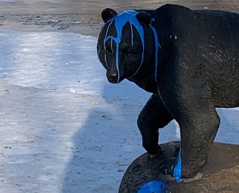 Вандалы облили краской скульптуру медведя в центре Петрозаводска
